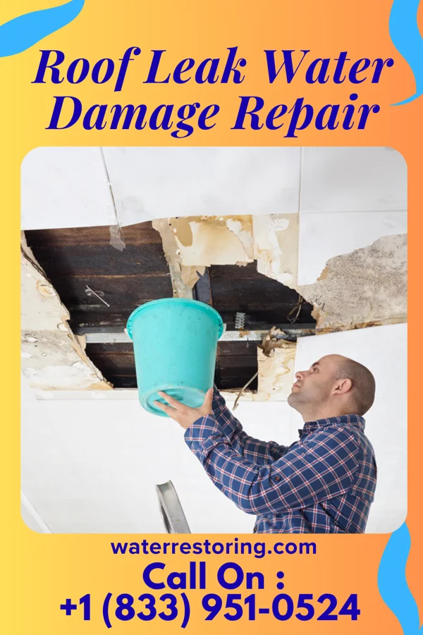 Roof Leak Water Damage Repair in Ryder, ND