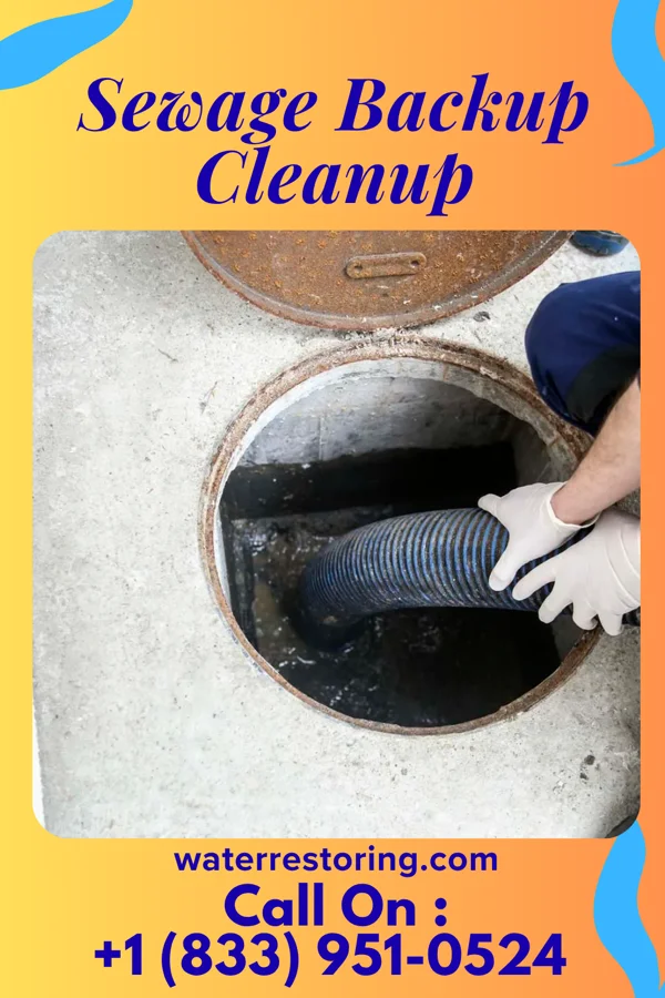 Sewage Backup Cleanup in Ryder, ND